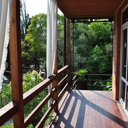Villa Oliva New Athos Exterior photo